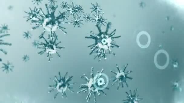 保健保护盾 医疗免疫系统的概念 细菌和病毒防御 抗药性抗菌素 循环动画 — 图库视频影像