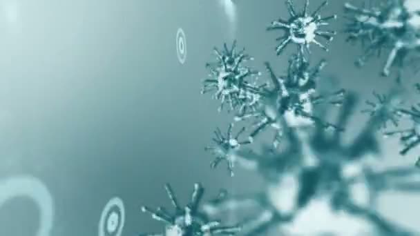 Захисний Щит Охорони Здоров Концепція Медичної Імунної Системи Бактерії Захист — стокове відео