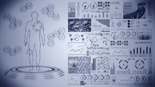 Férfi Virtuális Test Emberi Orvosi Hologram Animáció Grafikon Diagram Infografika — Stock videók