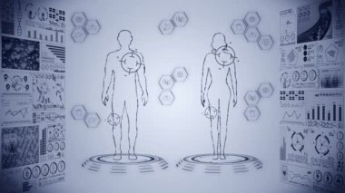 Erkek ve kadın sanal vücut. İnsan tıbbi hologram animasyonu. Grafik, Diyagram, Bilgi Grafiği. Tıp ve sağlık hizmetleri kavramı. Yüksek teknoloji gelecek döngü canlandırması.