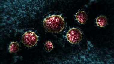 Mikroskop altında virüs ve bakteri. Coronavirus, COVID-19, Influenza, SARS, MERS. Mikrobiyoloji konsepti. Corona virüsleri salgın tehlikesine neden olur. Döngü canlandırması.