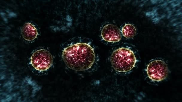 Virus Och Bakterier Mikroskopet Coronavirus Covid Influensa Sars Mikrobiologiskt Koncept — Stockvideo