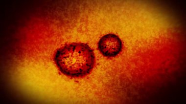 Mikroskop altında virüs ve bakteri. Coronavirus, COVID-19, Influenza, SARS, MERS. Mikrobiyoloji konsepti. Corona virüsleri salgın tehlikesine neden olur. Döngü canlandırması.