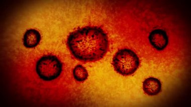Mikroskop altında virüs ve bakteri. Coronavirus, COVID-19, Influenza, SARS, MERS. Mikrobiyoloji konsepti. Corona virüsleri salgın tehlikesine neden olur. Döngü canlandırması.