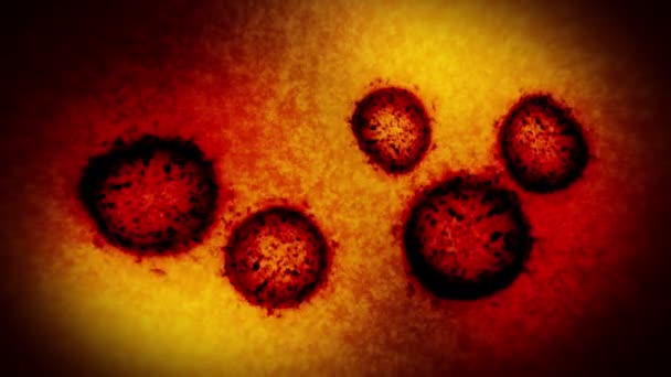 Virus Bakterier Mikroskopet Coronavirus Covid Influensa Sars Mers Mikrobiologisk Konsept – stockvideo