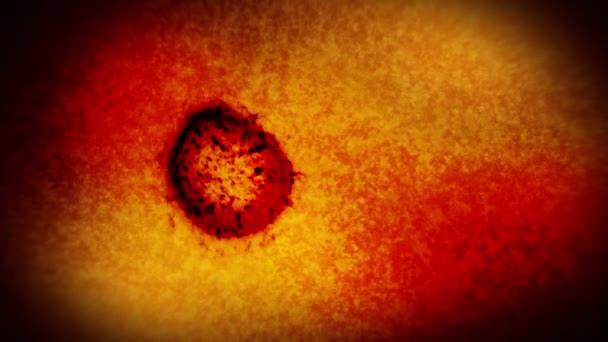 Virus Bacteriën Onder Microscoop Coronavirus Covid Influenza Sars Mers Microbiologie — Stockvideo