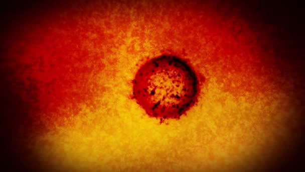Virus Batteri Microscopio Coronavirus Covid Influenza Sars Mers Concetto Microbiologia — Video Stock