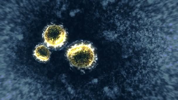 Virus Bactéries Microscope Coronavirus Covid Influenza Sras Mers Concept Microbiologie — Video