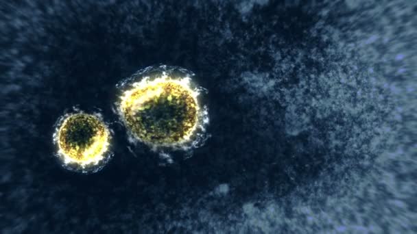 Virus Och Bakterier Mikroskopet Coronavirus Covid Influensa Sars Mikrobiologiskt Koncept — Stockvideo