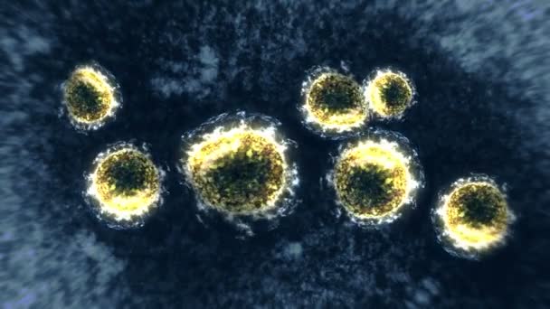 Virus Und Bakterien Unter Der Lupe Coronavirus Covid Grippe Sars — Stockvideo