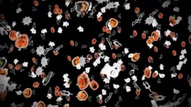 Siyah arka planda bir sürü Cadılar Bayramı canavarı uçurmak. Kağıt sanatı, balkabakları, yarasalar, örümcekler, hayaletler, mezarlar. Cadılar Bayramı partisinin 3 boyutlu animasyonu. Döngü canlandırması.