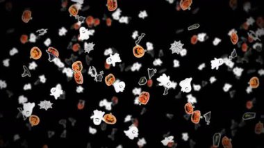 Siyah arka planda bir sürü Cadılar Bayramı canavarı uçurmak. Kağıt sanatı, balkabakları, yarasalar, örümcekler, hayaletler, mezarlar. Cadılar Bayramı partisinin 3 boyutlu animasyonu. Döngü canlandırması.