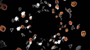 Siyah arka planda bir sürü Cadılar Bayramı canavarı uçurmak. Kağıt sanatı, balkabakları, yarasalar, örümcekler, hayaletler, mezarlar. Cadılar Bayramı partisinin 3 boyutlu animasyonu. Döngü canlandırması.