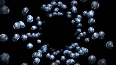 Siyah zeminde çok fazla su damlası uçurmak. Saf damlacıklar. Şeffaf yüzey. Dönen hava kabarcıklarının 3 boyutlu animasyonu. Döngü canlandırması.