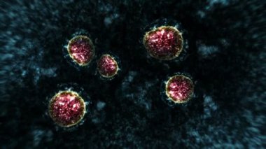 Mikroskop altında virüs ve bakteri. Coronavirus, COVID-19, Influenza, SARS, MERS. Mikrobiyoloji konsepti. Corona virüsleri salgın tehlikesine neden olur. Döngü canlandırması.