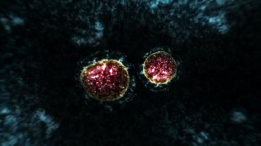 Mikroskop altında virüs ve bakteri. Coronavirus, COVID-19, Influenza, SARS, MERS. Mikrobiyoloji konsepti. Corona virüsleri salgın tehlikesine neden olur. Döngü canlandırması.