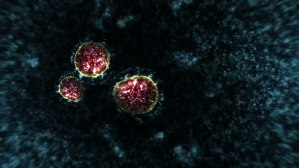 Virus Dan Bakteri Bawah Mikroskop Coronavirus Covid Influenza Sars Mers — Stok Video