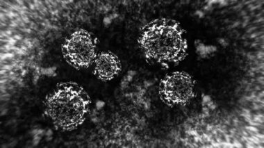 Mikroskop altında virüs ve bakteri. Coronavirus, COVID-19, Influenza, SARS, MERS. Mikrobiyoloji konsepti. Corona virüsleri salgın tehlikesine neden olur. Döngü canlandırması.