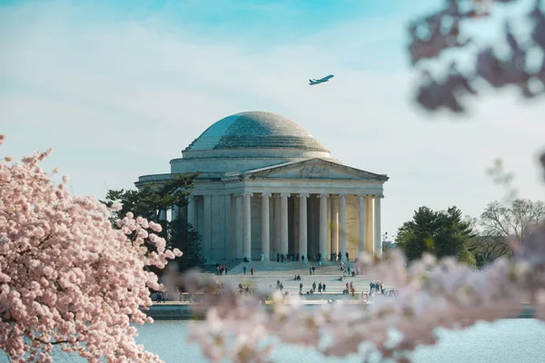 Cherry Blossom Washington — Fotografia de Stock