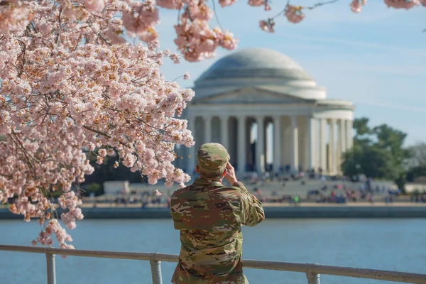 Cherry Blossom Washington — Fotografia de Stock