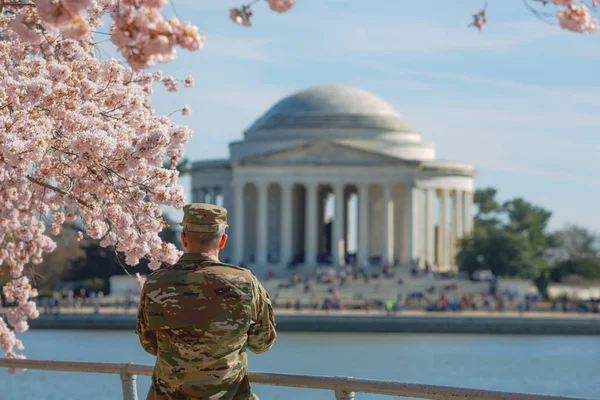 Cherry Blossom Washington — Fotografia de Stock