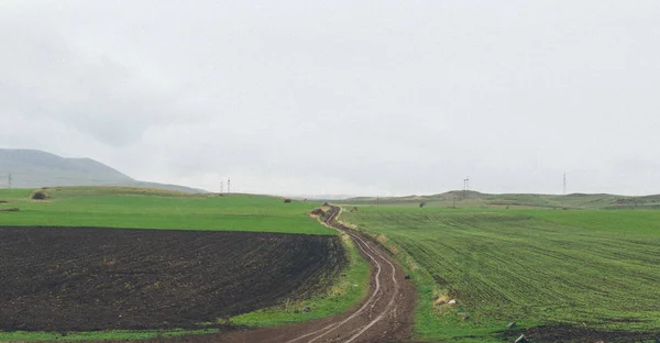 ülke yolun ortasında alanları