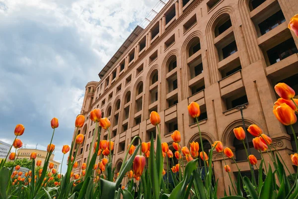 Turuncu lale önünde anıtsal yapı, Erivan, Ermenistan