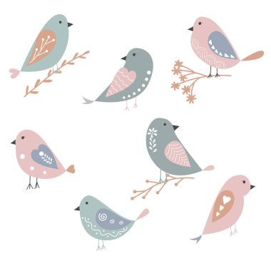 Düz vektör kuşlar çizim. Kuşlar öğeler için tebrik kartları. Vektör kuşlar öğeleri. Pastel renkler çizimde kuşlar