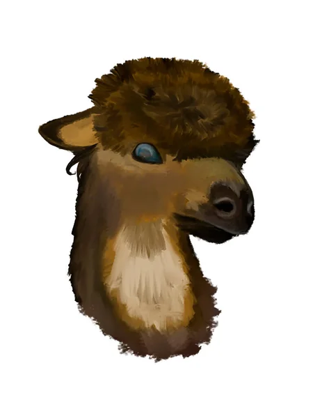 Alpaca Head Painted Oil Cartoon Art — Stock Photo, Image