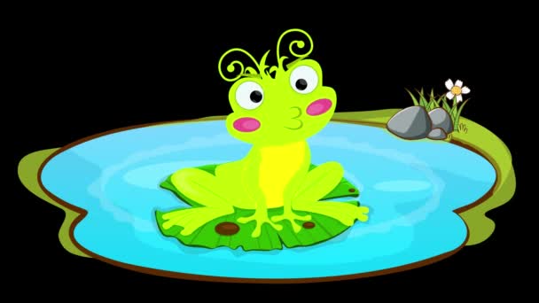 Frog Water Lily Lets Out Bubbles Black Background — Stock Video