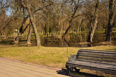 Central Park şehrin eski ağaçlar ve erken Bahar güneşli bir günde yağmur sonrası ıslak ahşap Bank