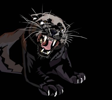Panter saldırıya hazırlanıyor.