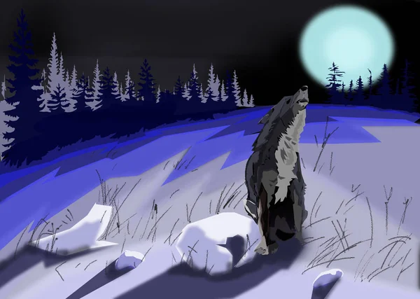 The wolf howls at the moon. Night, forest, winter.