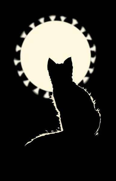Seri Covid Karantina Bir Kedi Aya Bakıyor — Stok fotoğraf