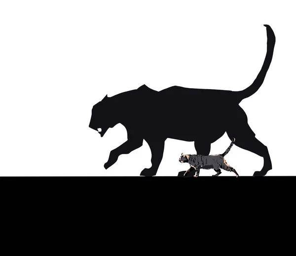 一系列的剪影 猫和豹 — 图库照片