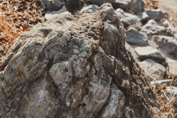 Doku Stone, Rus doğa