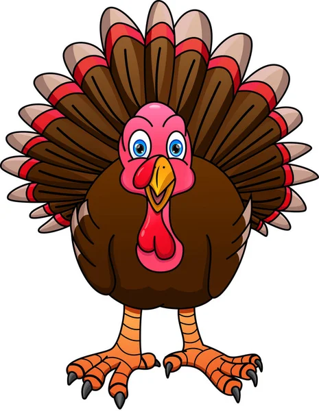 Cute Turkey Bird Cartoon Isolated White Background — Stock Vector