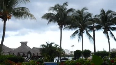 tropikal palmiye ağaçları yaz saati ile kumsal beldesinde