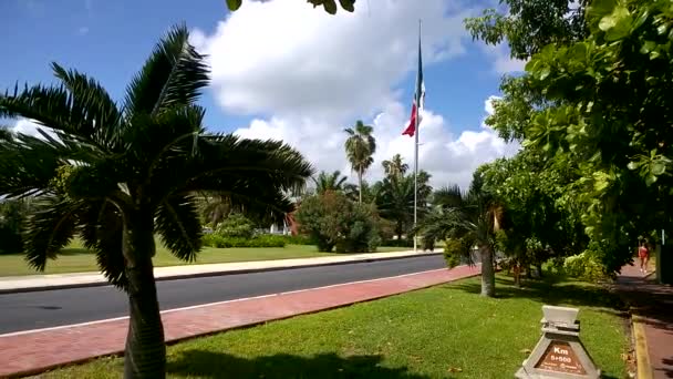 Palmy Błękitne Niebo Meksyk Flaga — Wideo stockowe
