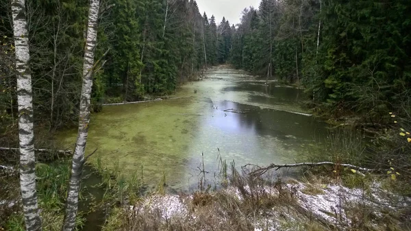 Paisagem Com Lago Água Congelada Cercada Por Floresta Abeto — Fotografia de Stock