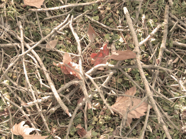 Реалистичная охота и военный камуфляж. Ветви, трава и листья. Бесшовный рисунок
.                