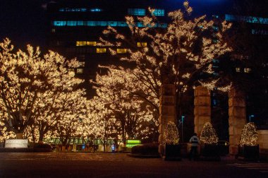 Noel ışık ağaçlarda