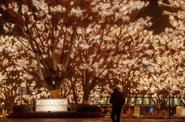 Noel ışık ağaçlarda