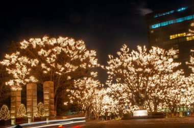 Noel ışık ağaçlarda