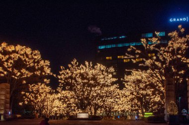 Noel ışık ağaçlarda