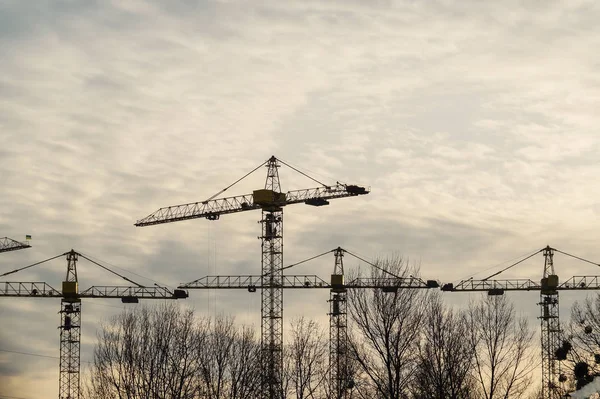 黄昏时 建筑起重机顶着天空 — 图库照片