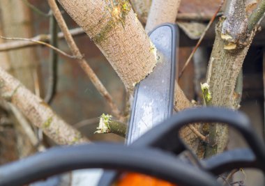 Oduncu testere Ağaç Kereste fabrikası chainsaw ile.