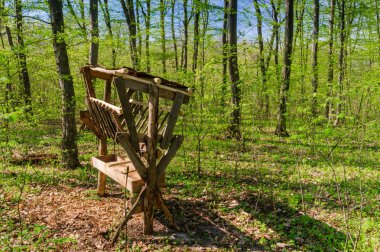 Rüzgar hayvan besleme yuvasına bir orman Temizleme.