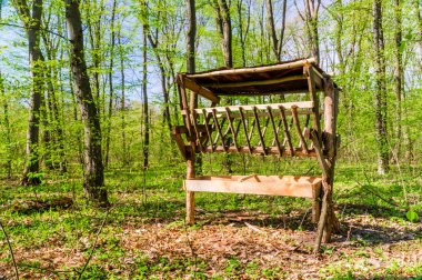 Rüzgar hayvan besleme yuvasına bir orman Temizleme.