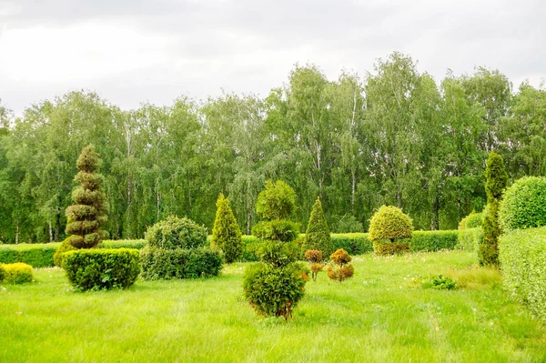 Beautiful garden art decoration on blossom exotic trees background in the park. Topiary art landscape